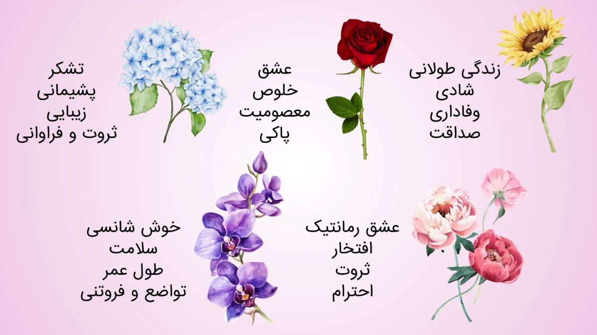 آشنای با زبان گل ها