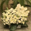 باکس گل کد 3215