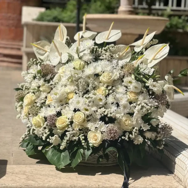 باکس گل کد 3216