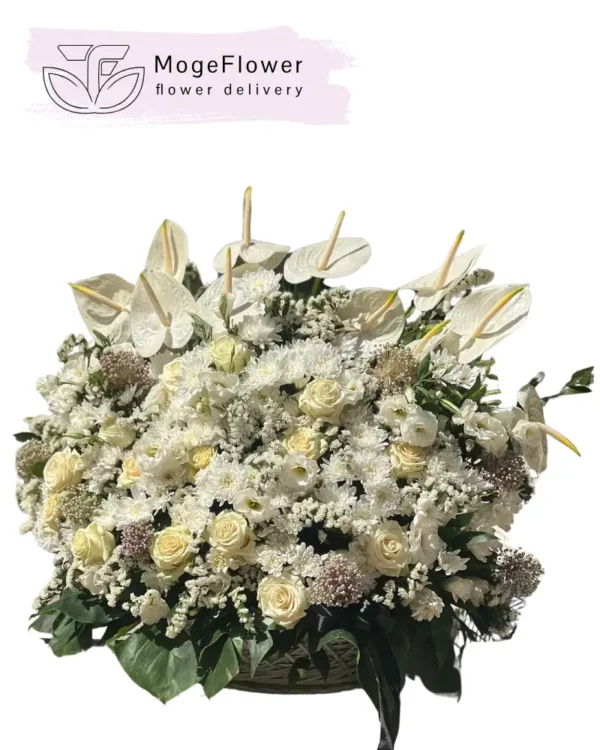 باکس گل کد 3216