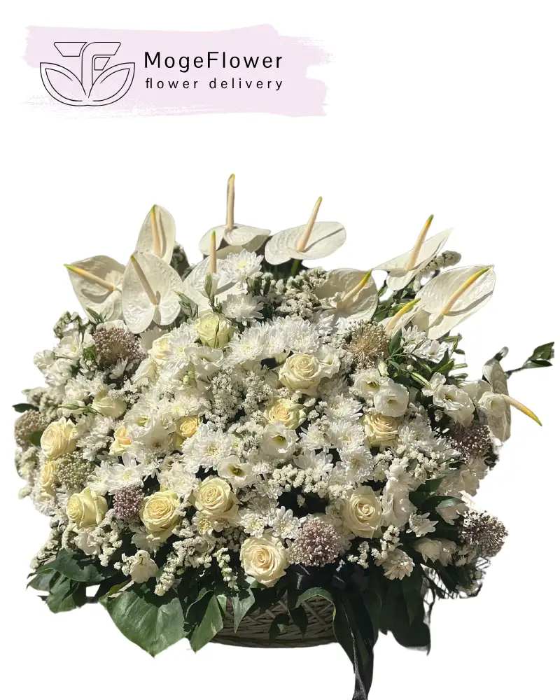 باکس گل کد 3216
