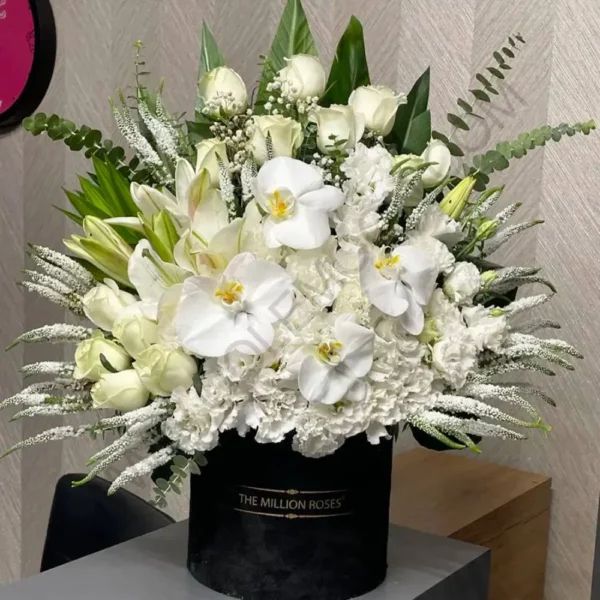 باگس گل کد 3427