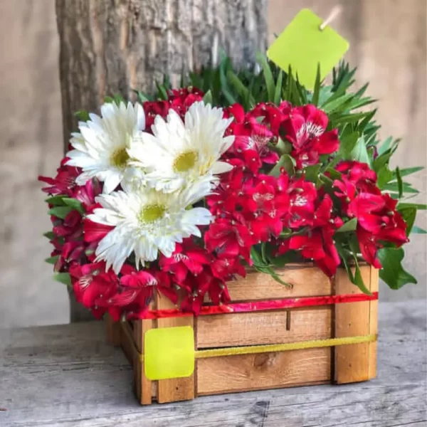 باکس گل کد 3553
