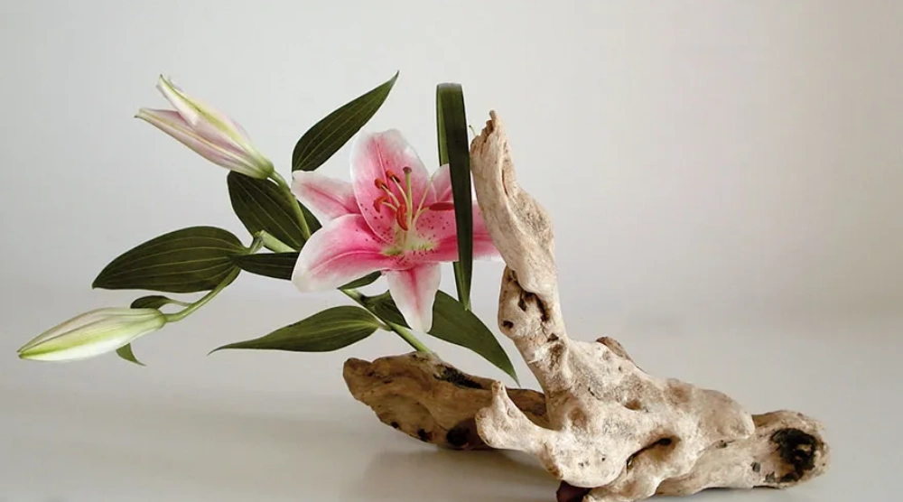 گل آرایی شرقی