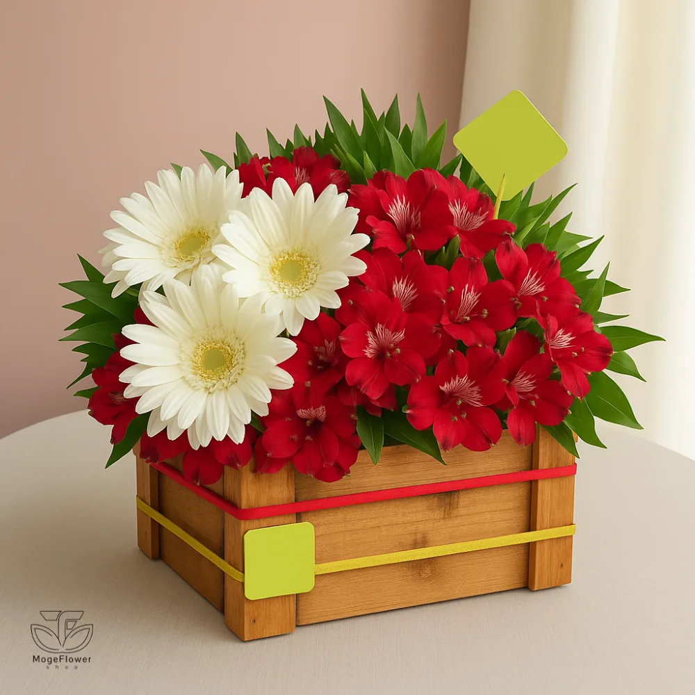 باکس گل کد 3553
