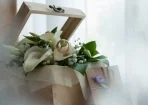 باکس-گل-بله-برون