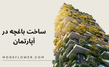 ساخت باغچه در آپارتمان